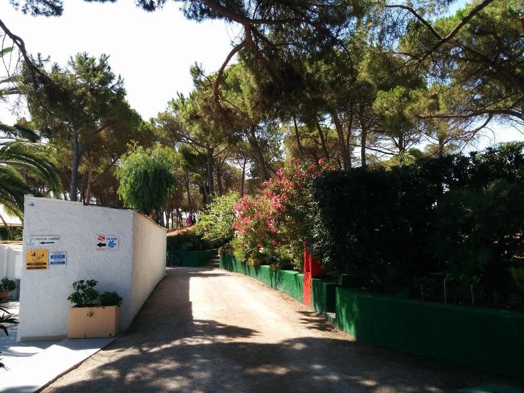Campeggio La Mariposa Alghero Buitenkant foto