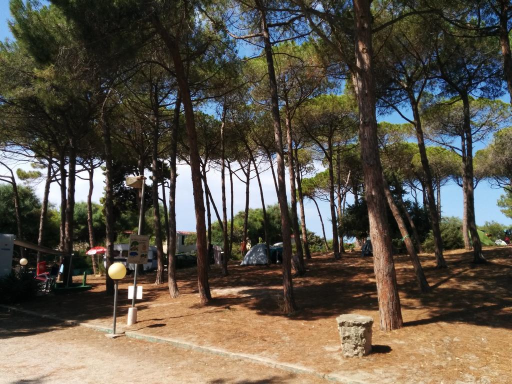 Campeggio La Mariposa Alghero Buitenkant foto